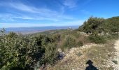 Trail Walking Seynes - Mont Bouquet - Photo 4