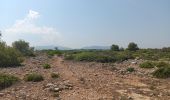 Trail Walking Leucate - la franqui . phare de leucate .. retour via la falaise - Photo 12