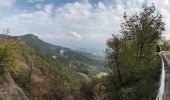 Tour Zu Fuß Carpineti - Valestra - Monte Valestra - Passo della Regina - Castello delle Carpinete - Photo 2