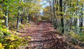 Tocht Stappen Luik - liège - angleur  - Photo 18
