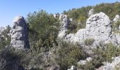 Randonnée Marche La Roquebrussanne - Source des Orris rochers menhirs (83) - Photo 11