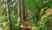 Tocht Stappen Durbuy - Balade à Bomal sur Ourthe - Photo 6