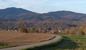 Randonnée Marche Sentheim - Sentheimtour Covid série 2 - Photo 3
