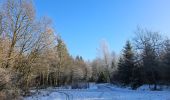 Trail Walking Saint Vith - Rodt - BierMuseum ❄️ - Photo 3