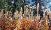 Trail Walking Orcières - La Coupa Via Archinard - Photo 2