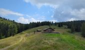 Tour Wandern Lüsen - Lüsner Alm - Rastnerhütte - Photo 20