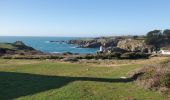 Tour Wandern L'Île-d'Yeu - La Meule_la plage des Vieilles - Photo 13