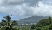 Trail  Le Morne-Rouge - Sainte Cécile/crête du Cournan/Beauvallon  - Photo 6