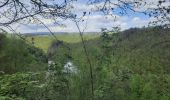 Tocht Stappen Houffalize - lac de Nisramont  - Photo 4