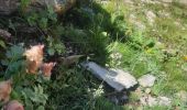 Trail Walking Saint-Paul-sur-Ubaye - lac long  - Photo 5