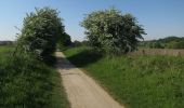 Tocht Te voet South Norfolk - Costessey Circular - Photo 1