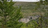 Tocht Stappen Meyrueis - Meyruies - Gorges de la Jonte - Grotte de Dagilan - Photo 18