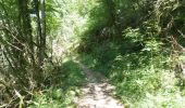 Randonnée Marche Cognin-les-Gorges - Cognin-les-Gorges - Gorges du Nan - Malleval-en-Vercors - Photo 16