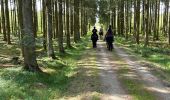 Tocht Paardrijden Vielsalm - Mont-le-Soie Boucle orange - Photo 11