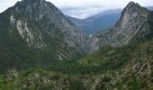 Excursión Senderismo Castellane - Clot d'Aremus - Chasteuil - Chapelle St Jean - Castellane - Photo 5