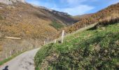 Tour Wandern Pont-en-Royans - reco pont en Royans st André  - Photo 1