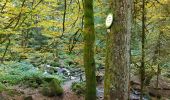 Trail Walking Tendon - Cascades de Tendon - Trou de l'Enfer - Roches de la Moulure - Photo 17