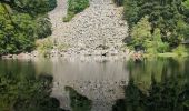 Trail Walking La Bresse - Le Hohneck et ses lacs d'altitude - Photo 12