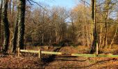 Tocht Stappen Vieux-Moulin - en forêt de Compiègne_25_les Tournantes du Mont Saint-Pierre - Photo 6