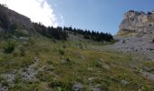 Trail Walking Lans-en-Vercors - les allieres, COL de l arc, et pic ST Michel - Photo 13