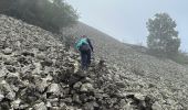 Percorso  Pranles - Volcan des Chirouses - Azur - Photo 17