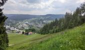 Percorso A piedi Warmensteinach - Warmensteinach Rundwanderweg Nr. 1 - Photo 5