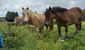 Trail Walking Rendeux - Marcouray - Photo 1