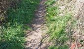 Trail Walking Anhée - Bioul 220322 - Photo 6