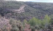 Tocht Stappen Saumane-de-Vaucluse - saumane 84 la pierre seche - Photo 2