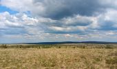 Trail Walking Waimes - baraque michel - botrange via fagne de polleur, retour via fagne wallonne  - Photo 12