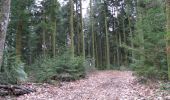 Trail Walking Perrigny - Perrigny Montaigu Conliége (IBP 84) 30 mars 2021 - Photo 14