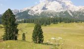 Excursión Senderismo Prags - Braies - Strudelkopf - Monte Specie 2307m - Photo 14