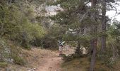 Trail Walking Le Rozier - GR6 jour 10 Hyelzas - Photo 4