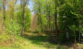 Trail Walking Longpont - en forêt de Retz_77_Longpont_Puiseux en Retz_AR - Photo 9