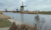 Trail Walking Molenlanden - Les moulins de Kinderdijk (8,6km)  - Photo 18