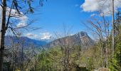 Tocht Mountainbike Le Grand-Bornand - découverte du Chinaillon II - Photo 2