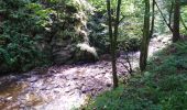 Tour Wandern Weismes - peak triple et cascade bayehon - Photo 8