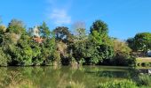 Excursión Senderismo Le Châtelet-en-Brie - Boucle champêtre autour de Chatelet en Brie - Photo 8