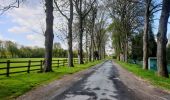 Trail Walking Court-Saint-Étienne - Bois de Morimont - Photo 1