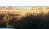 Tour Wandern Pelt - Tweelandenpad Hageveen De Plateaux - Photo 2
