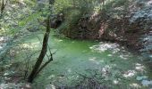 Trail Walking Liège - Balade dans le bois de Fayenbois - Photo 3