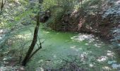 Tocht Stappen Luik - Balade dans le bois de Fayenbois - Photo 3