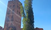 Tour Wandern Prades - codalet . coll de Clara . abbaye St Michel de Cuxa . canal bohère - Photo 10