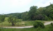 Percorso A piedi Großheringen - Rundweg Kaatschen-Tultewitz - Photo 4