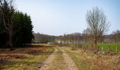 Tour Zu Fuß Libramont-Chevigny - Remagne étang gpx - Photo 5