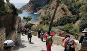 Tocht Stappen La Ciotat - La Ciotat - Photo 8