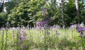 Randonnée Marche Maisons-Alfort - Mausobs Alfort bois de Vincennes  - Photo 3