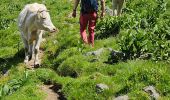 Trail Walking Lavigerie - 2024 RA Cantal Puy Mary - Photo 7