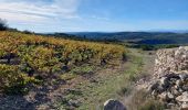 Trail Walking La Caunette - La Caunette  - Photo 5