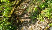 Trail Walking Vulvoz - fin vulvoz cascade embranch.choux - Photo 3